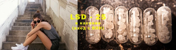 прущие крисы Бородино