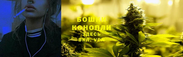 прущие крисы Бородино