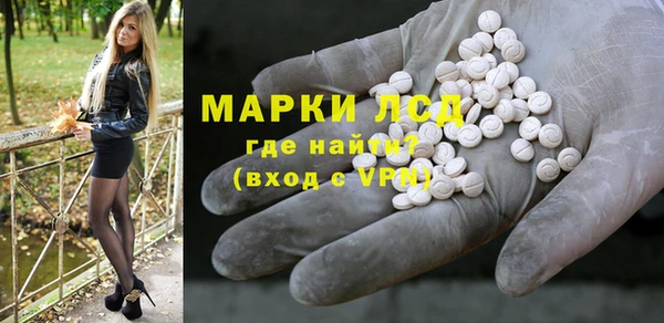прущие крисы Бородино
