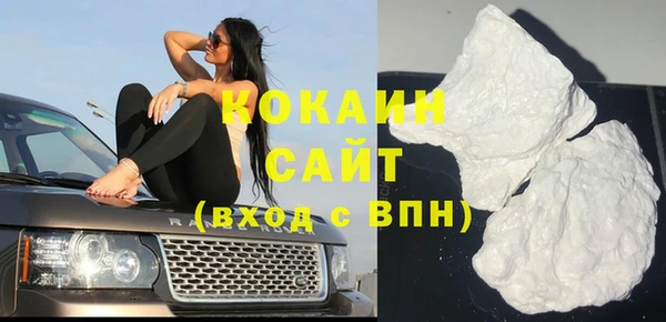 прущие крисы Бородино