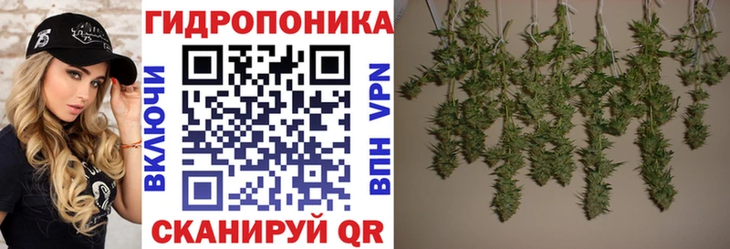Купить  Беслан  Каннабис SATIVA & INDICA 